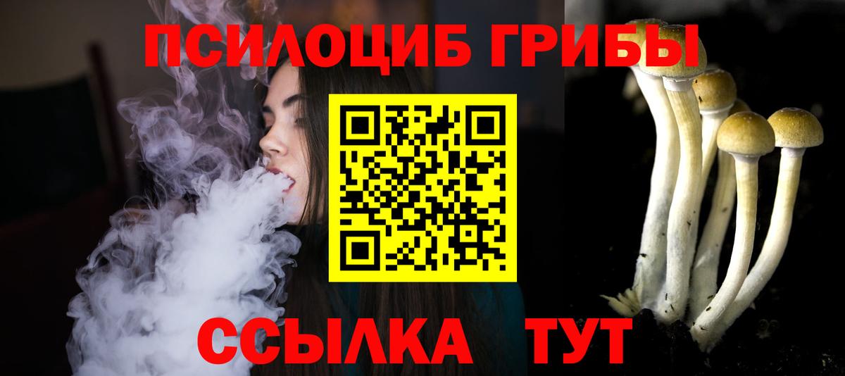 Ревда  Псилоцибиновые грибы Psilocybe  Вход с VPN  Галлюциногенные грибы GOLDEN TEACHER 